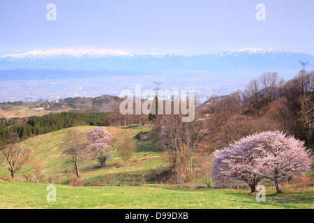 Name ist Nishizao, keine Oyamazakura und Mt. Gassan, Yamagata, Japan Stockfoto