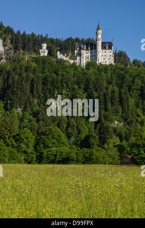 Schloss Neuschwanstein, Schwangau in der Nähe von Füssen, Schwaben, Bayern, Deutschland Stockfoto