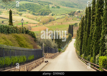 Landschaft und Bauernhof am Rande von San Gimignano, Toskana, Italien Stockfoto