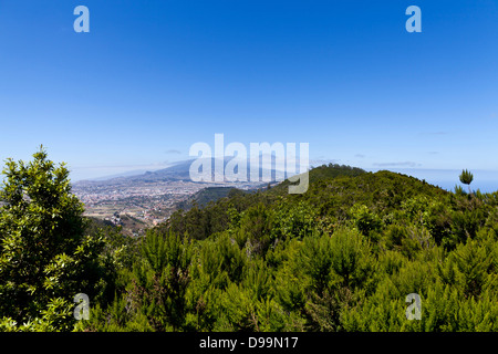 Blick über La Laguna und Los Rodeos Flughafen in Richtung Berg Teide von La Jardina Sicht im Anaga, Teneriffa, Kanarische Inseln, Stockfoto