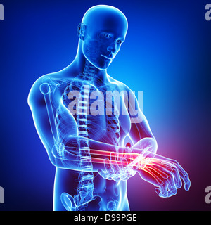 Anatomie der menschlichen Hand in blau Stockfoto