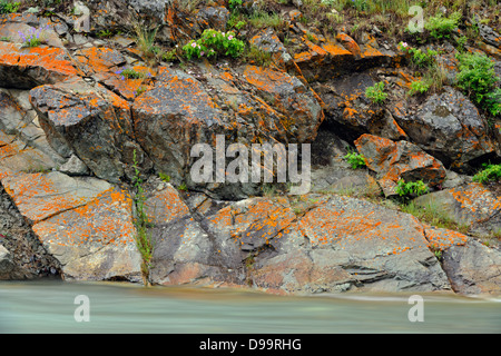 Felsen entlang Blakiston Creek Waterton Lakes Nationalpark Alberta Kanada Stockfoto