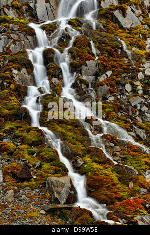 Moosigen Kaskade mit Schneeschmelze Abfluss Banff Nationalpark Alberta Kanada Stockfoto