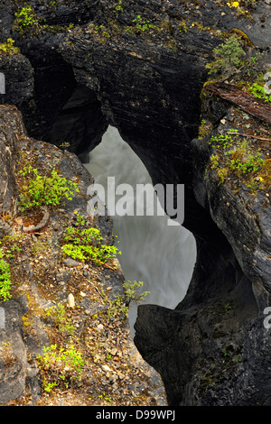 Mistaya River Canyon Nationalpark Banff Alberta Canada Stockfoto