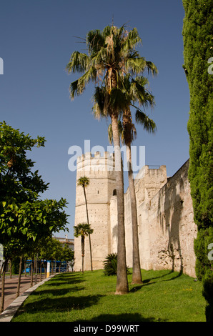 Der achteckige Turm der Festung Alcazar. Jerez De La Frontera, Andalusien, Spanien. Stockfoto