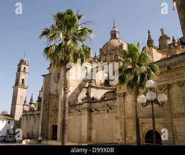 Die Kathedrale von San Salvador in Jerez De La Frontera, Provinz Cadiz, Andalusien, Spanien. Stockfoto