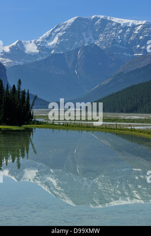 Mt. Kitchener spiegelt sich in der Beauty-Creek-Pool in der Nähe der Sunwapta River Jasper Nationalpark Alberta Kanada Stockfoto