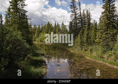 Ellenbogen Sie, Fluss, Landschaft, Fluss, Sturm, Donner, Frühling, Sommer, Wanderung, Weg, Angeln, Wald, Bauernhof, Zaun, Wolken Stockfoto