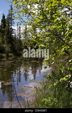 Ellenbogen Sie, Fluss, Landschaft, Fluss, Sturm, Donner, Frühling, Sommer, Wanderung, Weg, Angeln, Wald, Bauernhof, Zaun, Wolken Stockfoto