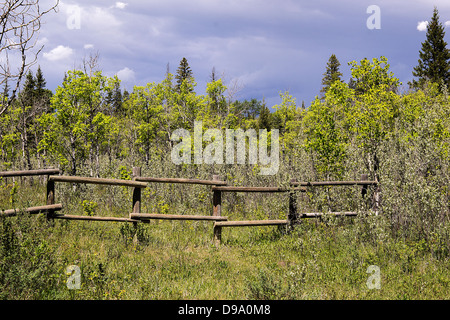 Ellenbogen Sie, Fluss, Landschaft, Fluss, Sturm, Donner, Frühling, Sommer, Wanderung, Weg, Angeln, Wald, Bauernhof, Zaun, Wolken Stockfoto