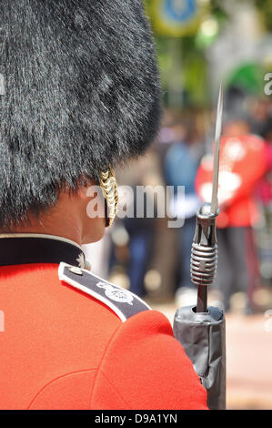 Die Farbe, die sich entlang der Mall und dem Buckingham Palace, London, Großbritannien. Zeremonielle Militär Soldat Stockfoto
