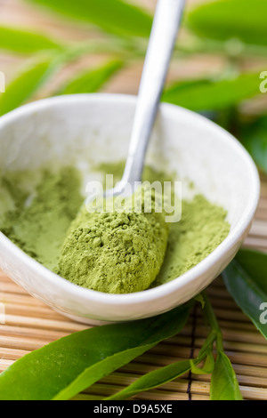 Pulverisierten Matcha Tee in eine Schüssel geben Stockfoto