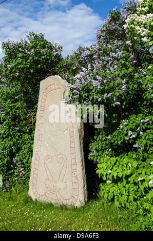 Runenstein von Viking Alter bei Seby auf der Insel Öland in Schweden Stockfoto