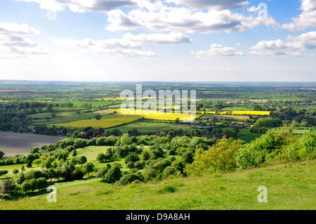 Dollar - Chiltern Hills - Coombe Hügel - Frühsommer ländlichen Landschaft in Aylesbury Plain - Sonnenlicht und Schatten - blauer Himmel Stockfoto