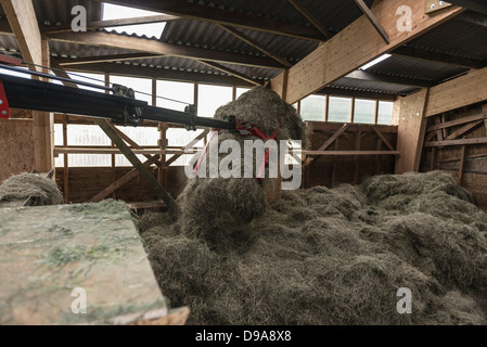 Aufwand der Decke montierten Kran für Speicher- und Retrivial von Heu, Stroh & silo Stockfoto