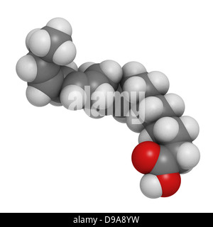 Ungesättigten Omega-3-Fettsäure (Alpha-Linolensäure), molekulare Modell. Stockfoto