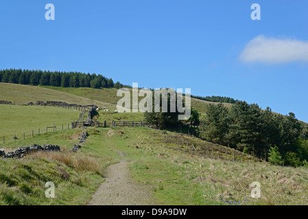 Weg auf einem Hügel mit Trockensteinmauer neben Stockfoto