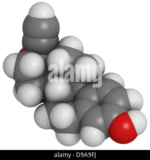 Ethinylestradiol anticonceptive Hormon Estradiol (EE), molekulare Modell. Atome werden als Kugeln mit konventionellen Farbkodierung dargestellt. Stockfoto