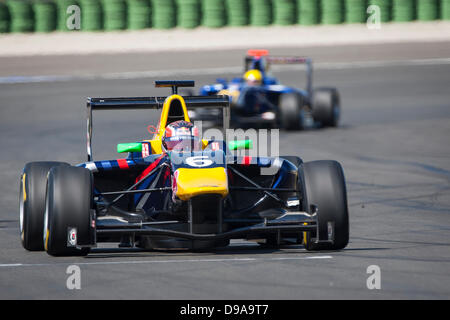 Renntag für Runde 2 der Baureihe 2013 GP3. 16. Juni 2013. Circuit Ricardo Tormo. Valencia, Spanien. #6 Daniil Kyvat (RUS) - MW Arden Credit: Action Plus Sport/Alamy Live News Stockfoto