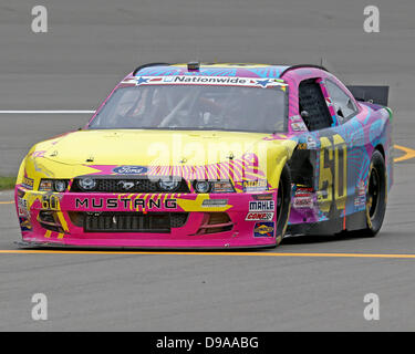 Brooklyn Michigan, MI, Vereinigte Staaten von Amerika. 15. Juni 2013. Bundesweit-Serie-Fahrers Travis Pastrana (60) Gruben während der Nascar Nationwide Series 22. jährliche Allianz LKW-Teile 250 auf dem Michigan International Speedway am 15. Juni 2013 in Brooklyn, Michigan. Tom Turrill/CSM Credit: Csm/Alamy Live-Nachrichten Stockfoto