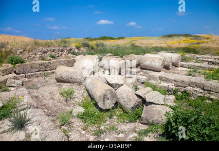 Schöne Sommerwiese mit römischen Ruinen (in Tel Dor, Israel) Stockfoto