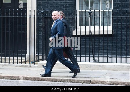 London, UK - 16. Juni 2013: Außenministerin und ersten Staatssekretär William Jefferson Haag, FRSL MP in 10 Downing Street vor dem Treffen mit russischen Präsidenten Vladimir Putin in 10 Downing Street mit David Cameron, Syrien vor G8 zu diskutieren... Bildnachweis: Piero Cruciatti/Alamy Live-Nachrichten Stockfoto