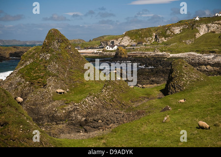 Ballintoy Harbour Küste, County Antrim, Nordirland, Vereinigtes Königreich Stockfoto