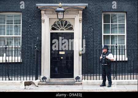 London, UK - 16. Juni 2013: Katze Larry und ein Polizist warten draußen 10 Downing Street für die Ankunft des russischen Präsidenten Vladimir Putin Premierminister David Cameron besprechen Sie Syrien vor G8 treffen. Bildnachweis: Piero Cruciatti/Alamy Live-Nachrichten Stockfoto