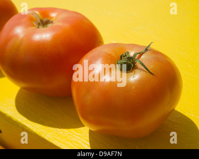 New Jersey Fleischtomaten an einem Stand am Straßenrand Stockfoto