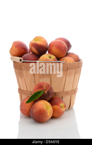 Ein Scheffel Korb voller frisch gepflückte gelbe Pfirsiche, mit einem Stapel von losen Früchte vor. Stockfoto
