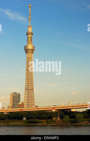 Tokyo Sky Tree von Sumida-Fluss am Abend goldene Stunde Glühen Stockfoto