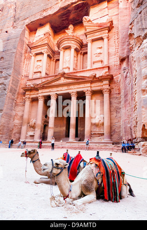 Kamele vor Al Khazneh in Petra, Jordanien Stockfoto