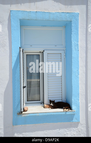 Katze im Fenster von Haus direkt am Strand, Kritika, nr. Rhodos Stadt, Rhodos (Rodos), die Dodekanes, Region südliche Ägäis, Griechenland Stockfoto