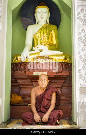 15. Juni 2013 - Yangon, Burma/Myanmar - betet ein buddhistischer Mönch in der Shwedagon-Pagode. Die Shwedagon-Pagode ist offiziell bekannt als Shwedagon Zedi Daw und wird auch als der große Dagon Pagode oder die Goldene Pagode. Es ist 99 Meter (325Â ft) hohen Pagode und Stupa befindet sich in Yangon, Birma. Die Pagode liegt im Westen von auf Singuttara Hügel und dominiert die Skyline der Stadt. Es ist der heiligste buddhistische Pagode in Myanmar und enthält Relikte der Vergangenheit vier Buddhas verankert: die Mitarbeiter des Kakusandha, der Wasserfilter der Koá¹‡Ä Gamana, ein Stück das Gewand der Kassapa und acht Strähnen Stockfoto