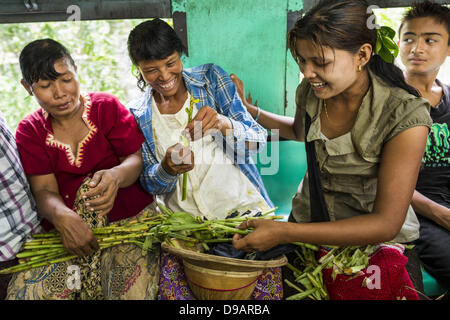 Yangon, Union von Myanmar. 15. Juni 2013. Markthändler bereiten Sie Gemüse, wenn sie auf den Markt kommen, während sie mit dem Yangon kreisförmigen Zug zu verkaufen. Yangon kreisförmigen Bahn ist das lokale Pendler Schienennetz, das das Stadtgebiet von Yangon dient. Von Myanmar Railways betrieben, verbindet die 45,9 km (28,5 mi) 39-Station-Loop-System Satellitenstädte und vorstädtischen Gebieten in die Stadt. Die Bahn hat rund 200 Trainer, 20 Mal läuft und täglich 100.000 bis 150.000 Tickets verkauft. Die Schleife, die etwa drei Stunden dauert, ist ein beliebtes für Touristen zu sehen, einen Querschnitt des Lebens Stockfoto