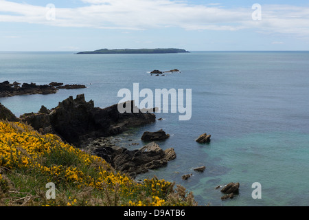 Skokholm Insel West Wales Küste nahe Skomer Island.  Versäumen Sie die Fähre zur Insel findet man diese Ansichten auf die Wanderung am t Stockfoto