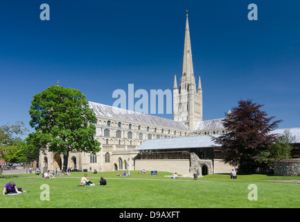 Norwich Kathedrale Norfolk England UK Stockfoto