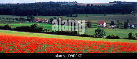 Panorama-aufnahme eines Mohnfeld, mit nahe gelegenen Häuser und Land in Preures, Pas-de-Calais, Nordfrankreich, Europa. Stockfoto