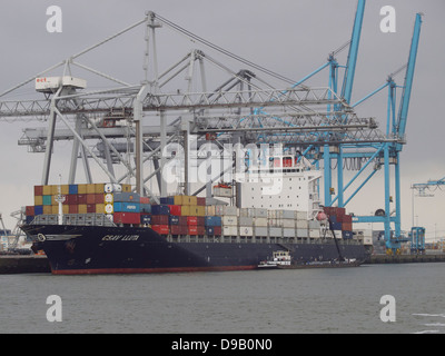 ECT-Container-Terminals auf der Maasvlakte 2 im Hafen von Rotterdam, Niederlande Stockfoto