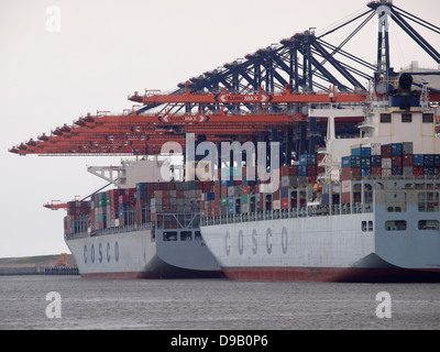 Zwei riesige Container Carrier an der Euromax Containerterminals auf der Maasvlakte 2 im Hafen von Rotterdam, Niederlande Stockfoto