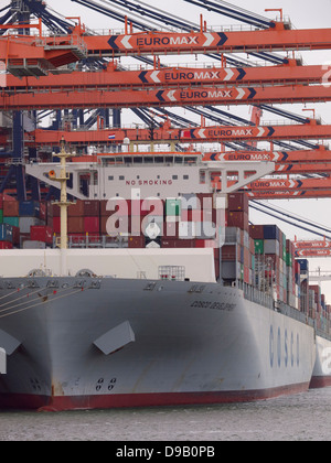 Zwei riesige Container Carrier an der Euromax Containerterminals auf der Maasvlakte 2 im Hafen von Rotterdam, Niederlande Stockfoto