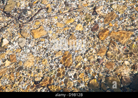 Klaren flachen Süßwasser in einem englischen Cotswolds-Stream mit Kräuselung gemustert Kieselsteine aus dem gefleckten Sonnenlicht. Stockfoto