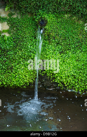 Frisches Quellwasser aus einer Felswand und verschütten in einen kleinen Pool in einer englischen Cotswolds Bauerngarten. UK Stockfoto