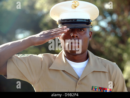 Ein US-Marine mit Marine Rotations Kraft Darwin salutiert am USS Peary Denkmal zum Gedenken an den 71. Jahrestag der Schlacht Korallenmeer 3. Mai 2013 in Darwin, Australien. Stockfoto