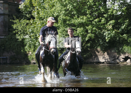 Zigeuner waschen ihre Pferde und Ponys in den Fluss Eden vor paradieren sie zum Verkauf an Appleby Horse Fair, in Cumbria, England Stockfoto