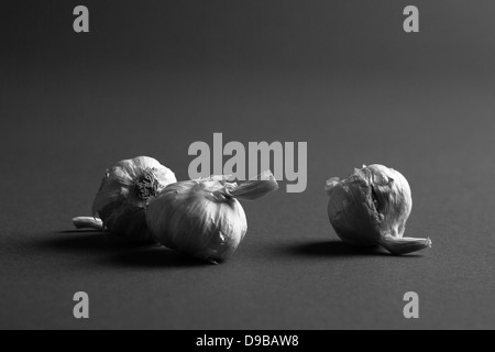 Drei Zwiebeln Knoblauch platziert auf einem dunklen Studio-Hintergrund in schwarz / weiß Stockfoto