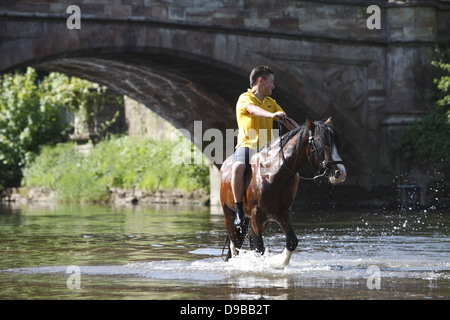 Zigeuner waschen ihre Pferde und Ponys in den Fluss Eden vor paradieren sie zum Verkauf an Appleby Horse Fair, in Cumbria, England Stockfoto