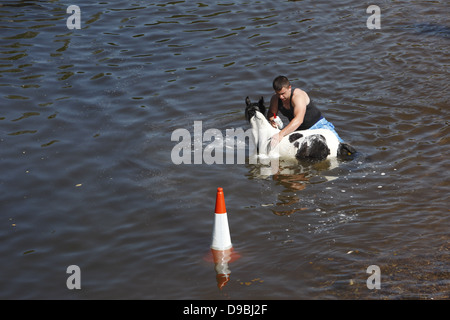 Zigeuner waschen ihre Pferde und Ponys in den Fluss Eden vor paradieren sie zum Verkauf an Appleby Horse Fair, in Cumbria, England Stockfoto