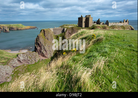 Dunnottar Castle, Stonehaven, Aberdeenshire, Schottland, Großbritannien, Europa, Schloss Dunnottar, Stonehaven, Aberdeenshire, Sch Stockfoto