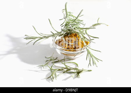 Italienische Stroh Blume auf weißem Hintergrund, Nahaufnahme Stockfoto